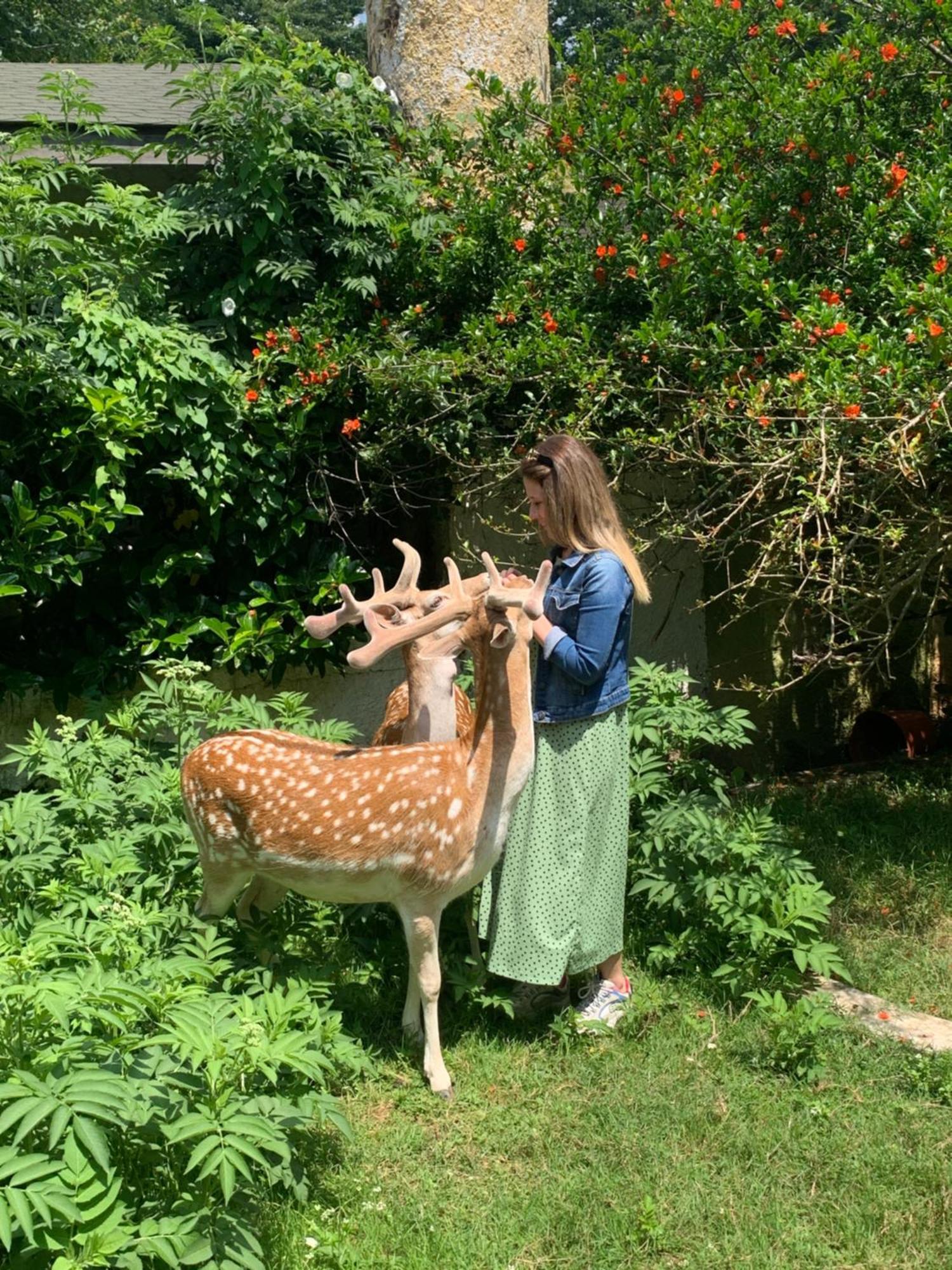 폴로네즈코이 컨트리 클럽 호텔 이스탄불 외부 사진